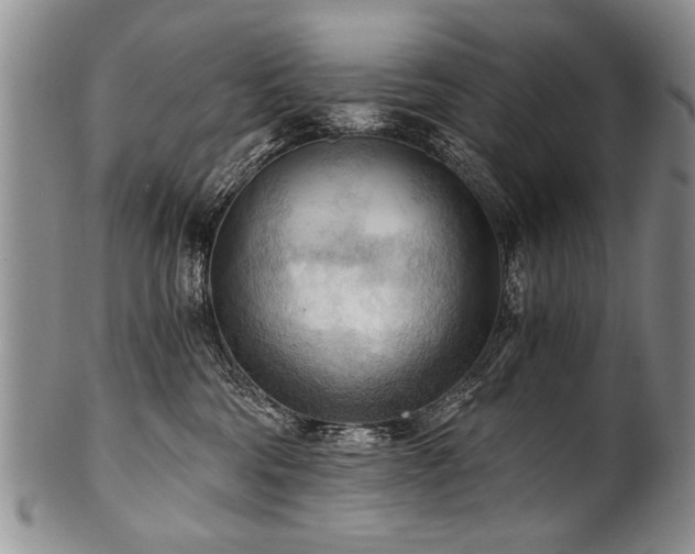 X0000101120330200806261442