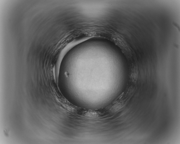 X0000101120332200806261442