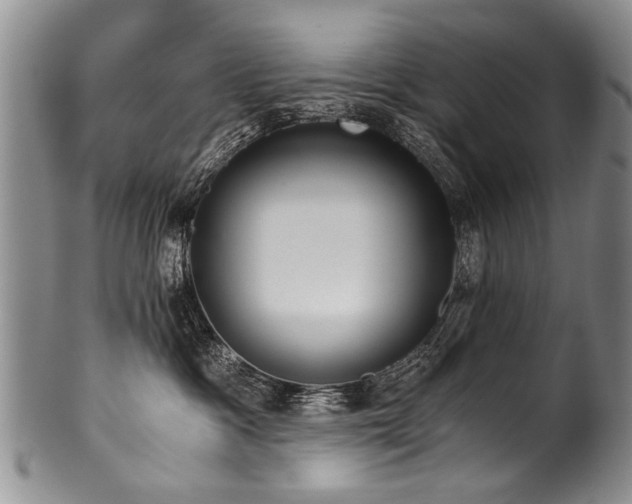 X0000101120333200806261442