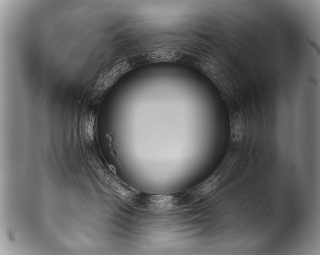 X0000101120334200806261442