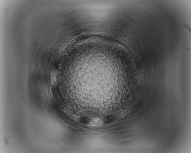 X0000101120335200806261442