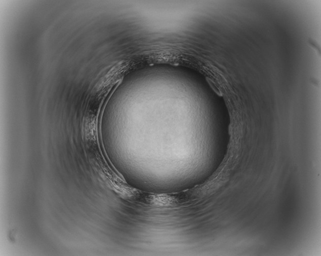 X0000101120336200806261442