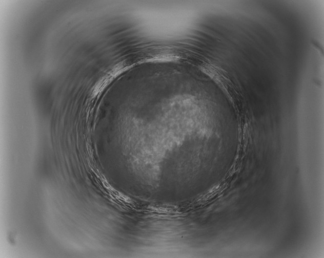 X0000101120337200806261441
