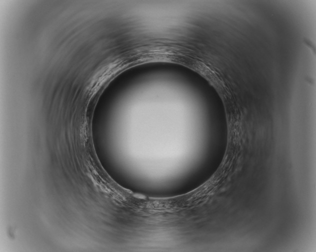 X0000101120338200806261441