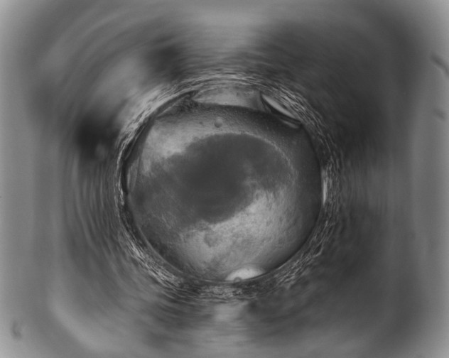 X0000101120339200806261441