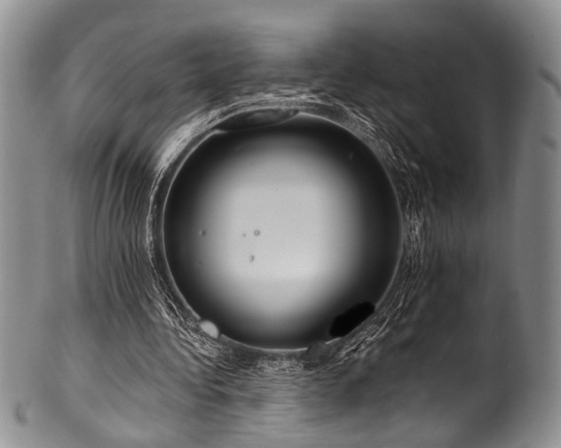 X0000101120340200806261441