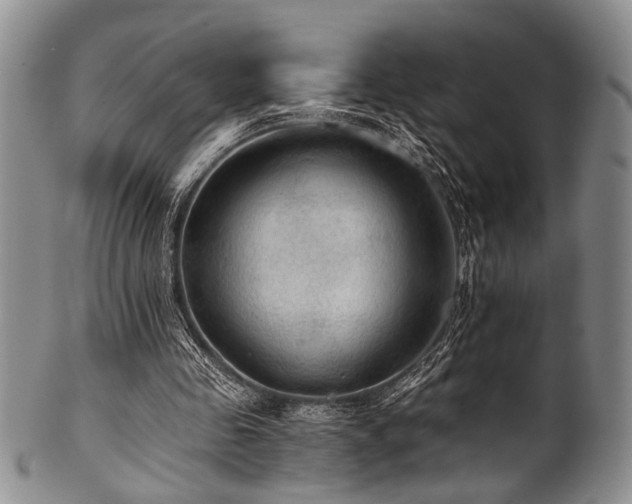 X0000101120341200806261441