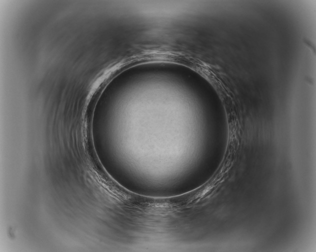 X0000101120342200806261441
