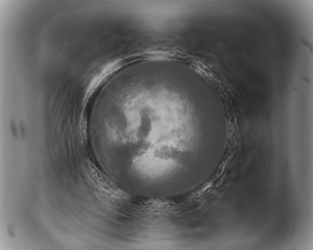 X0000101120343200806261441