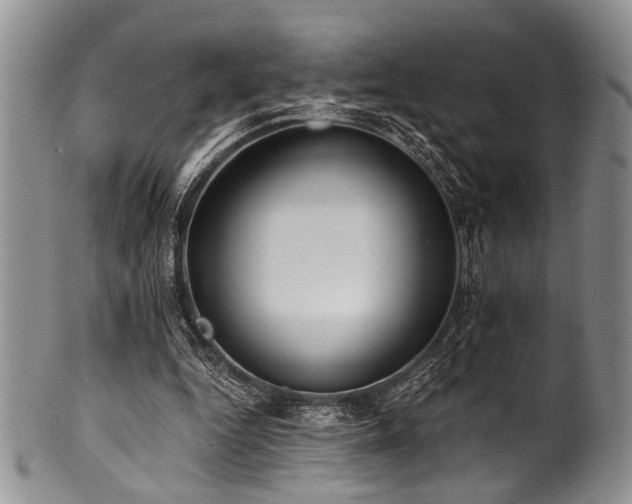 X0000101120344200806261441