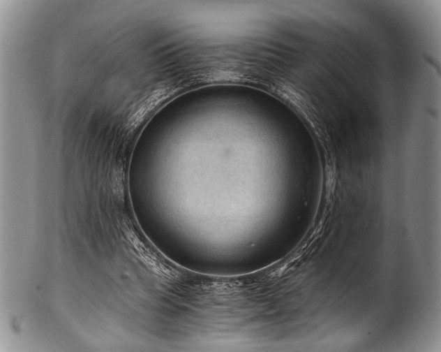 X0000101120345200806261441