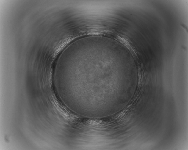 X0000101120346200806261441