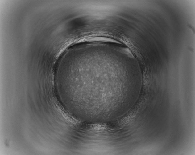 X0000101120347200806261441