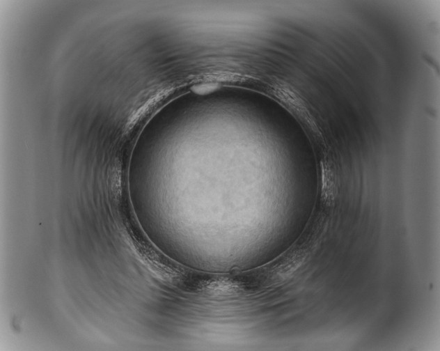 X0000101120348200806261441