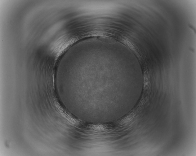 X0000101120349200806261441