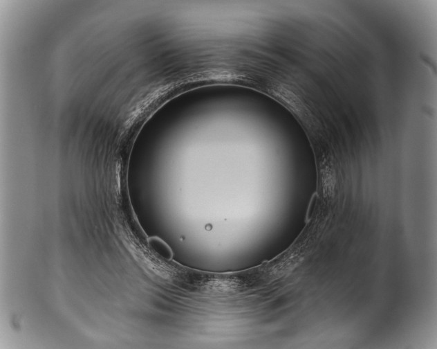 X0000101120350200806261441