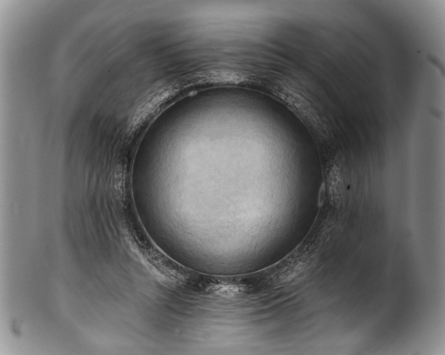 X0000101120352200806261441