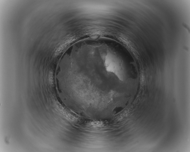 X0000101120353200806261441
