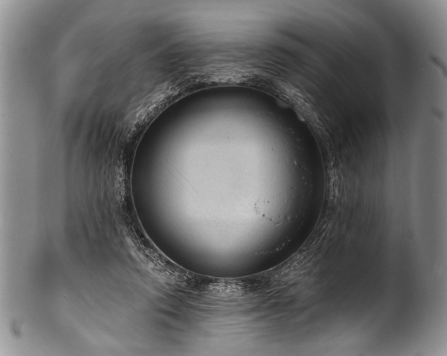 X0000101120354200806261442