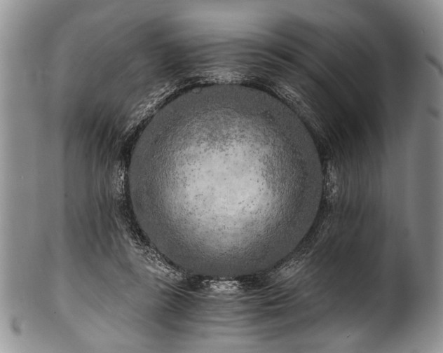 X0000101120355200806261442
