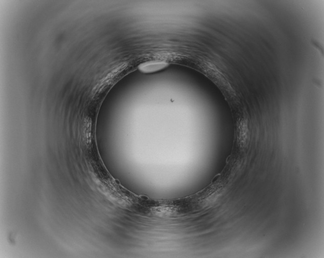 X0000101120356200806261442