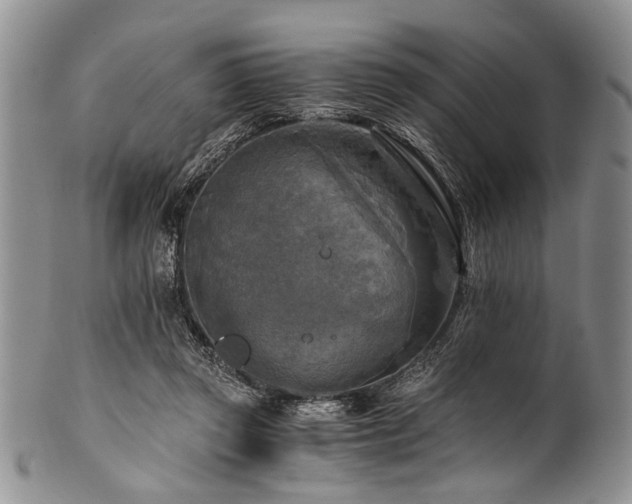 X0000101120357200806261442
