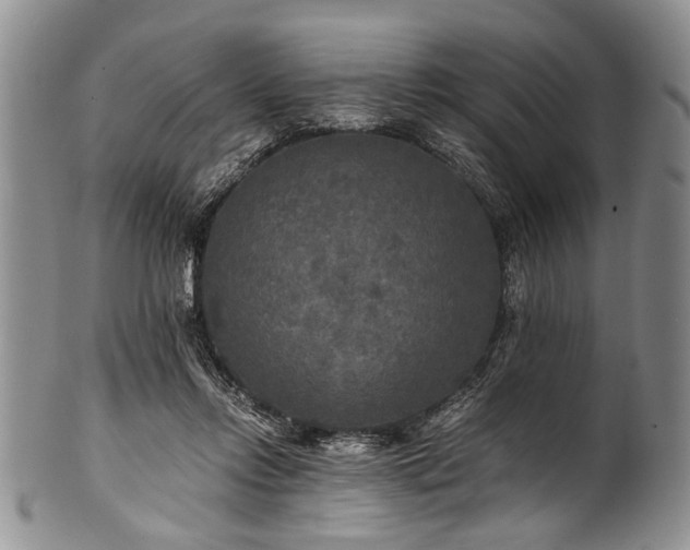 X0000101120358200806261442