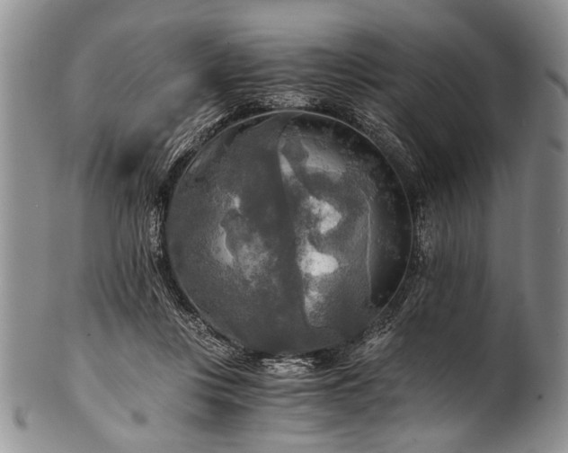 X0000101120359200806261442