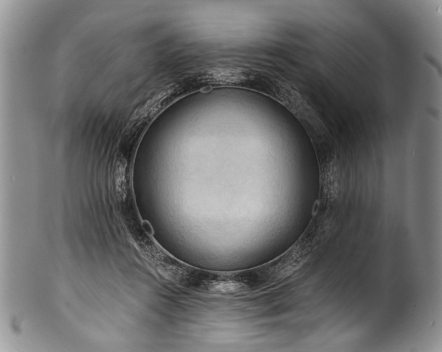X0000101120360200806261442