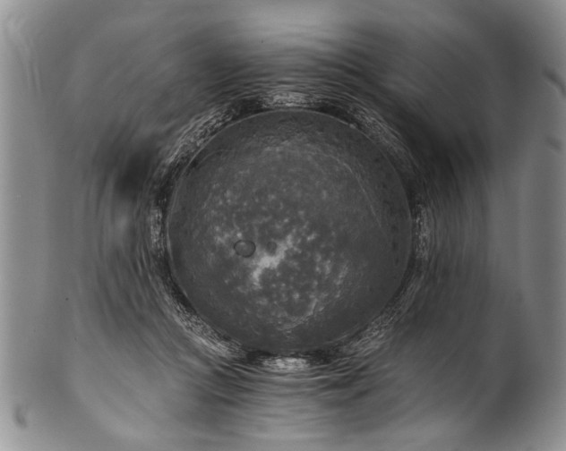 X0000101120361200806261442