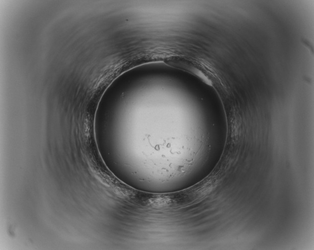 X0000101120362200806261442
