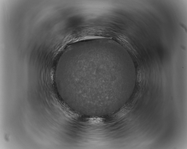 X0000101120363200806261442