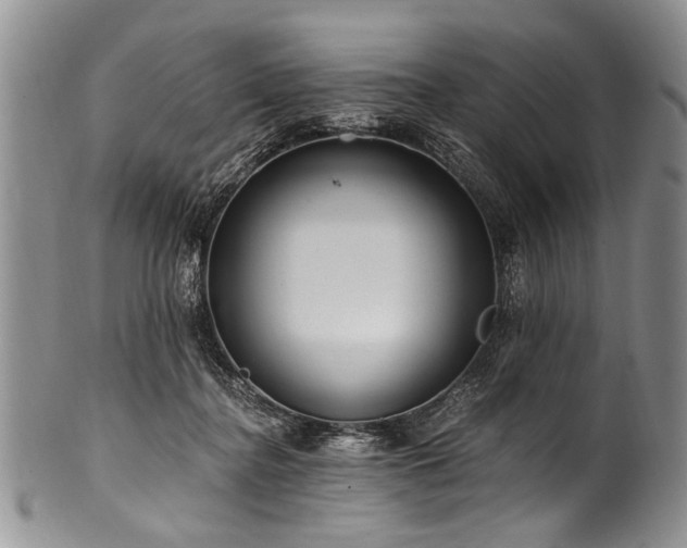 X0000101120364200806261442