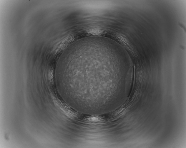 X0000101120365200806261442
