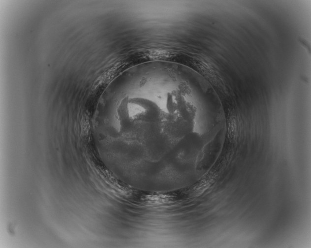 X0000101120367200806261442