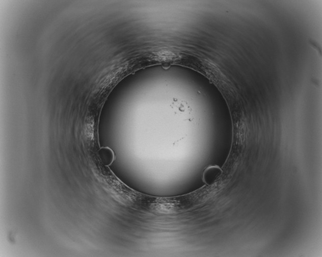 X0000101120368200806261442