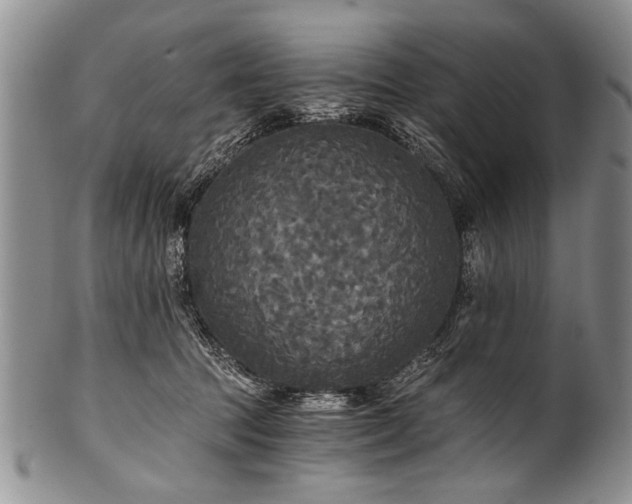 X0000101120369200806261442