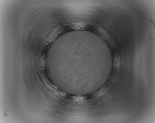 X0000101120370200806261442