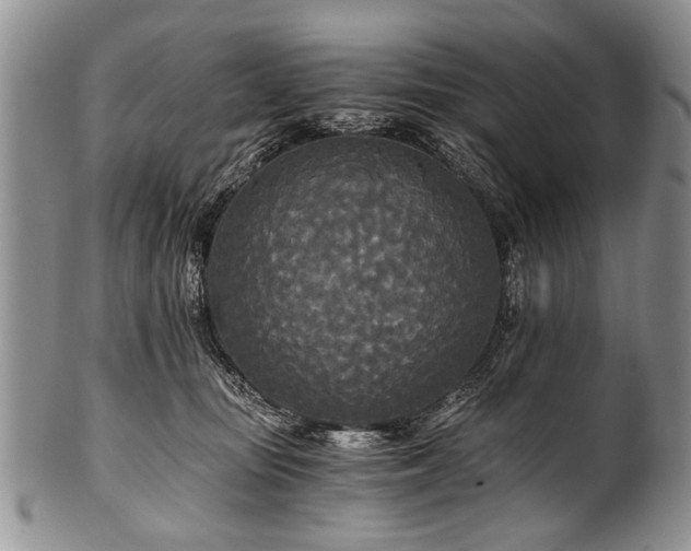 X0000101120371200806261442