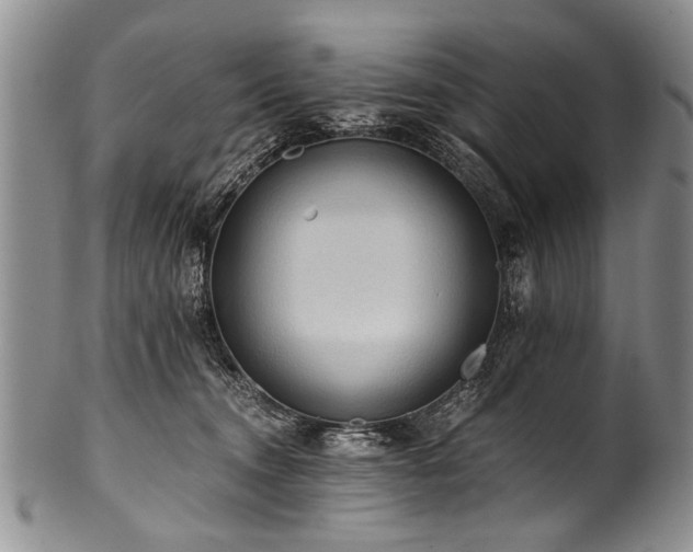 X0000101120372200806261442