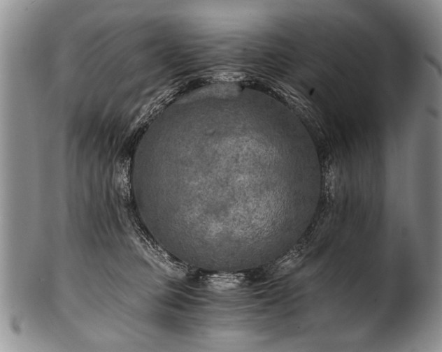 X0000101120373200806261442