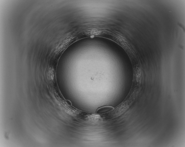 X0000101120374200806261442