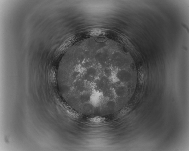 X0000101120375200806261442