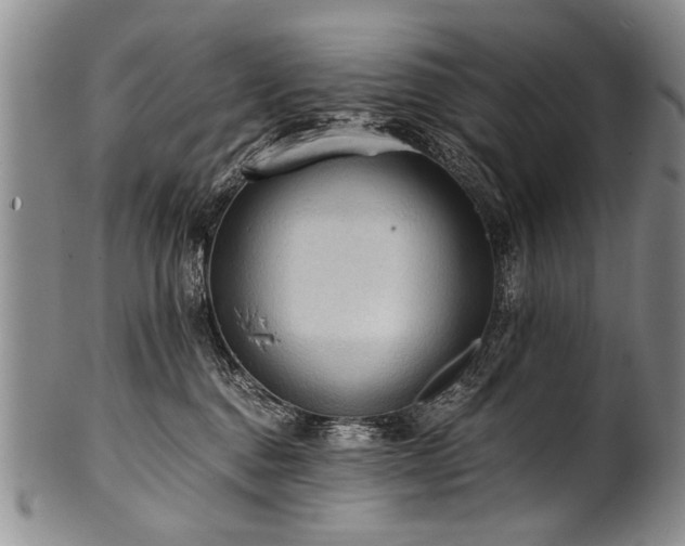 X0000101120376200806261442
