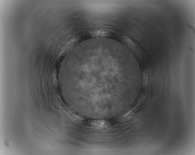 X0000101120377200806261442