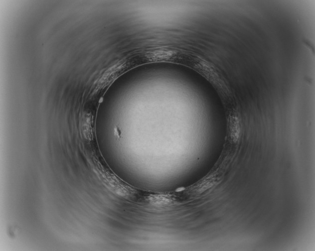 X0000101120378200806261442