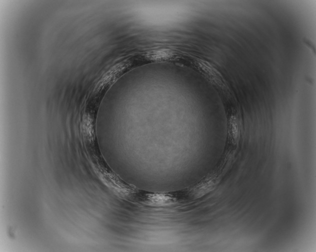 X0000101120380200806261442