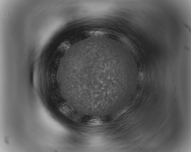 X0000101120381200806261442
