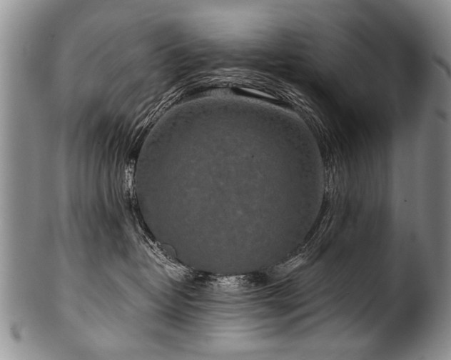X0000101120382200806261442