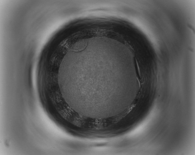 X0000101120383200806261442